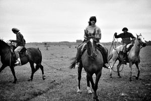 Rênes des gauchos